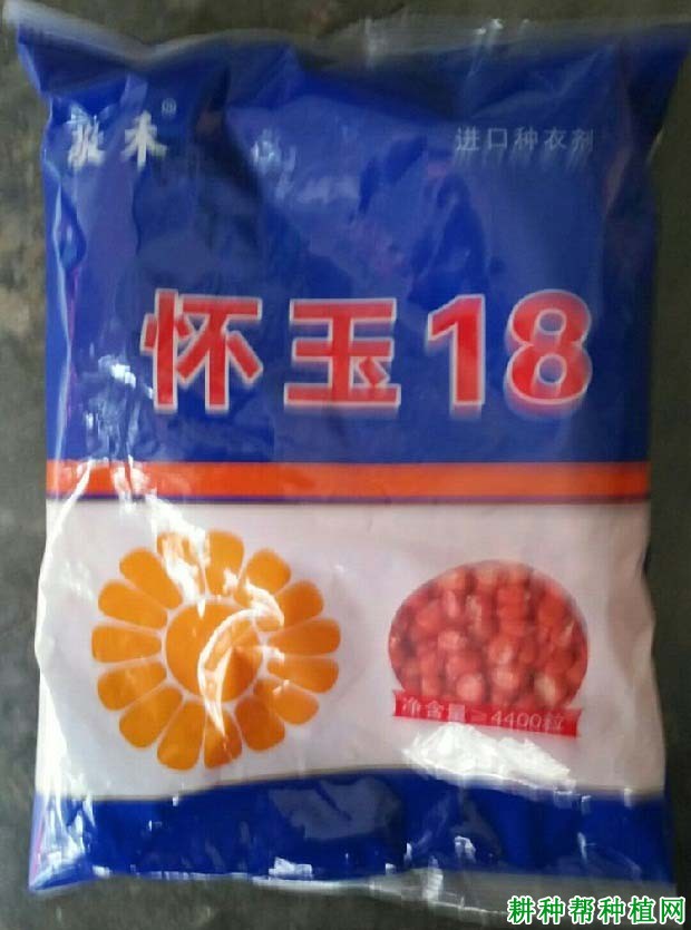 怀玉18玉米品种好不好？