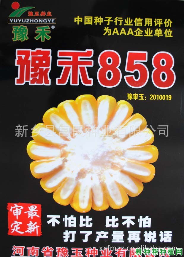 豫禾858玉米品种好不好？