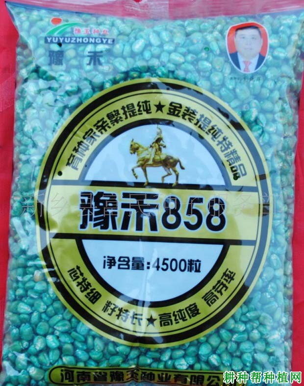 豫禾858玉米品种好不好？