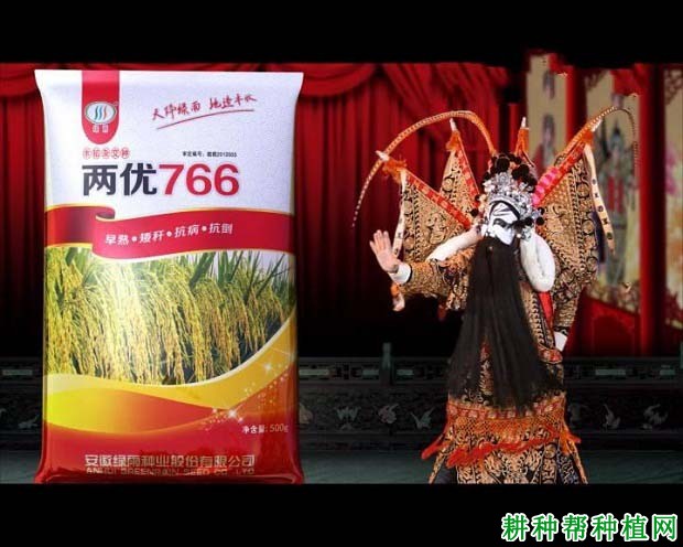 两优766水稻品种好不好？