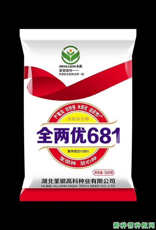 全两优681水稻品种好不好？