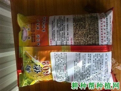 两优602水稻品种好不好？