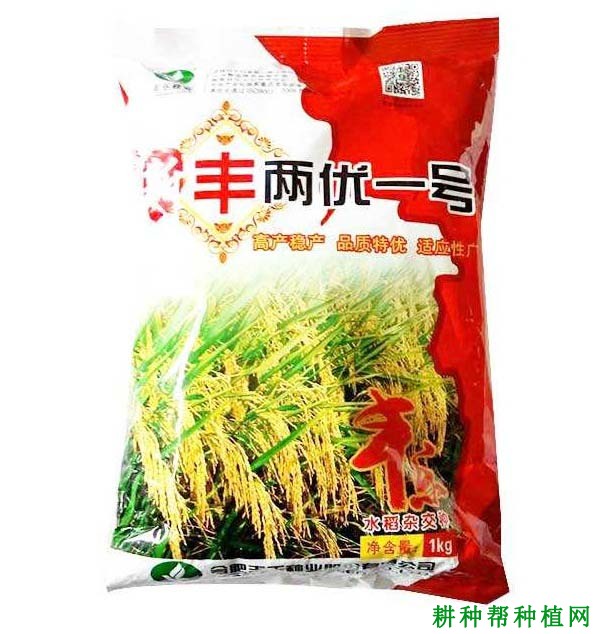 丰两优一号水稻品种好不好？