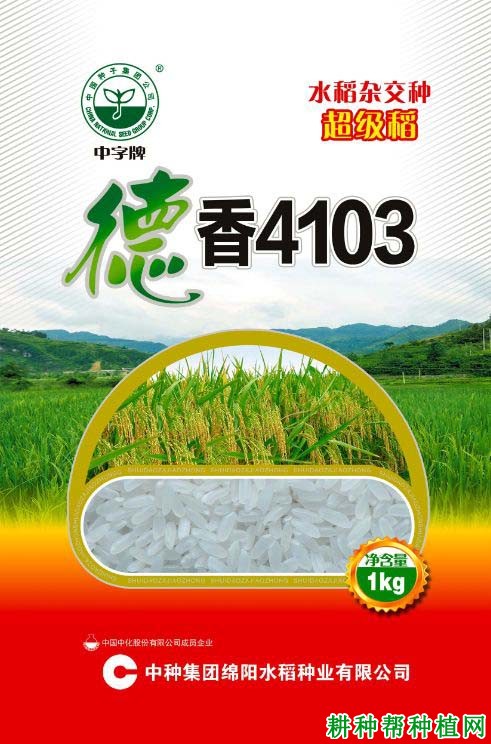 德香4103水稻品种好不好？