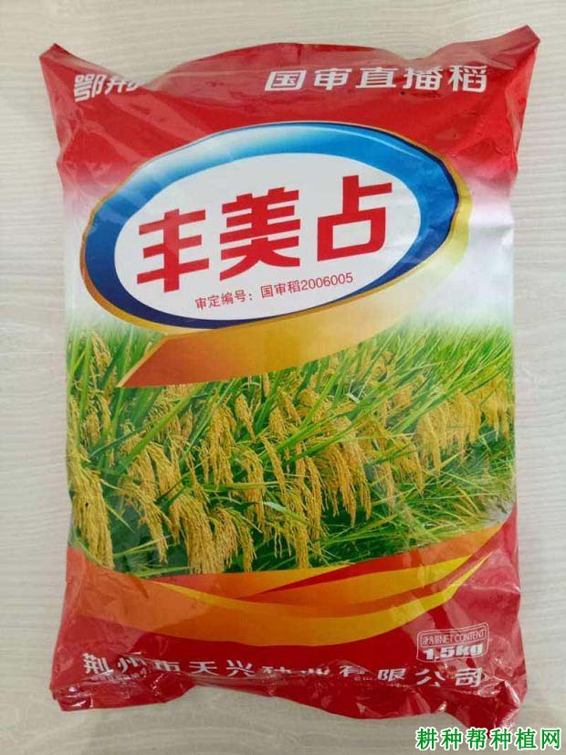 丰美占水稻品种好不好？