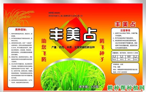 丰美占水稻品种好不好？