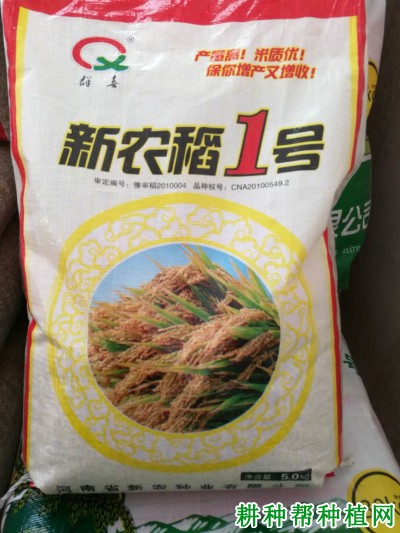 新农稻1号水稻品种好不好？