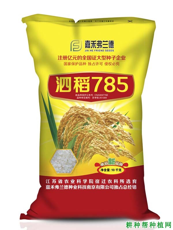 泗稻785水稻品种好不好？