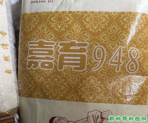 嘉育948水稻品种好不好？