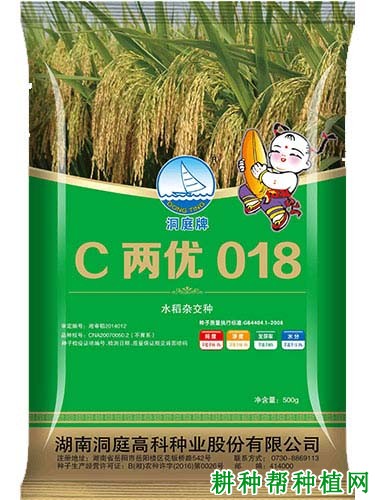 C两优018水稻品种好不好？