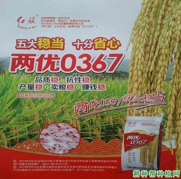 两优0367水稻品种好不好？