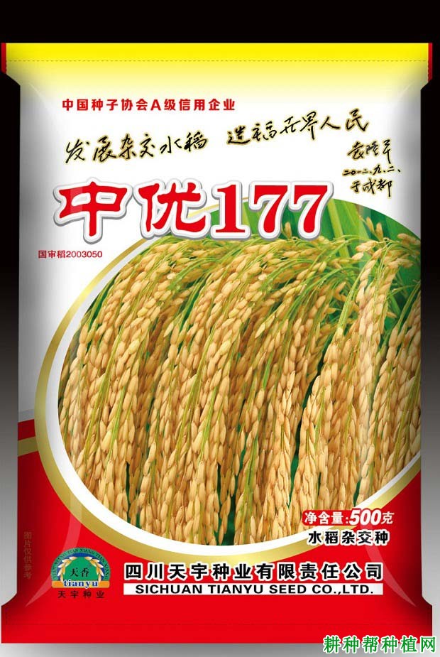 中优117水稻品种好不好？