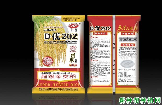 D优202水稻品种好不好？