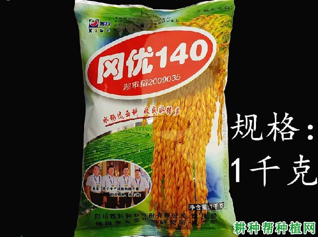 冈优140水稻品种好不好？