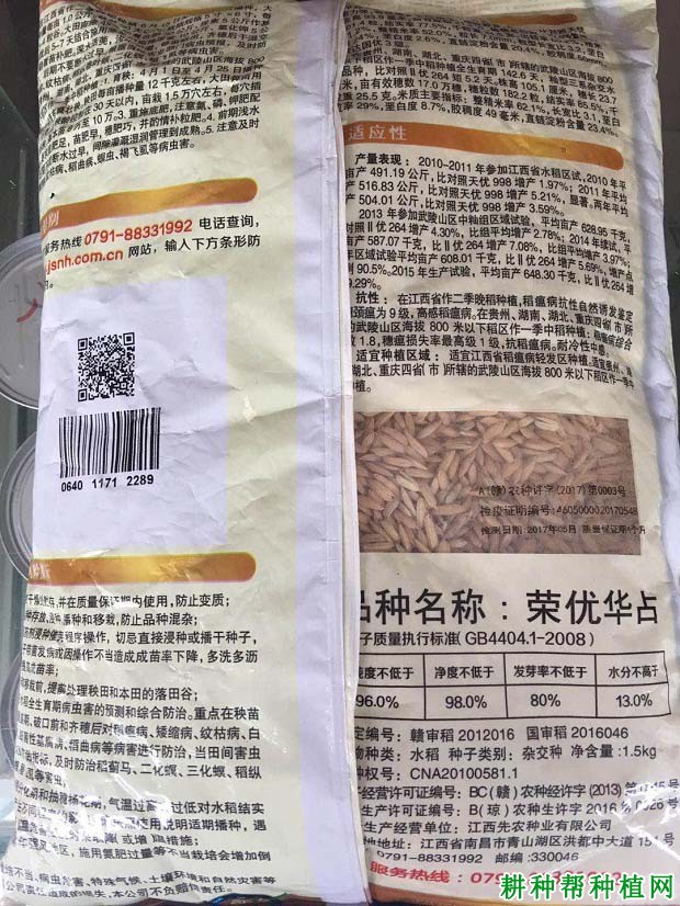 荣优华占水稻品种好不好？