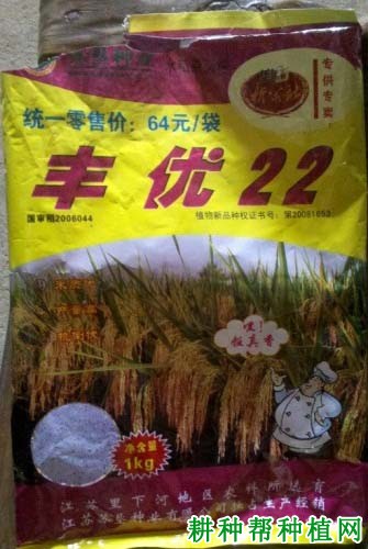 丰优22水稻品种好不好？