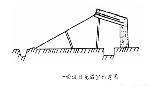 日光温室有什么特点？