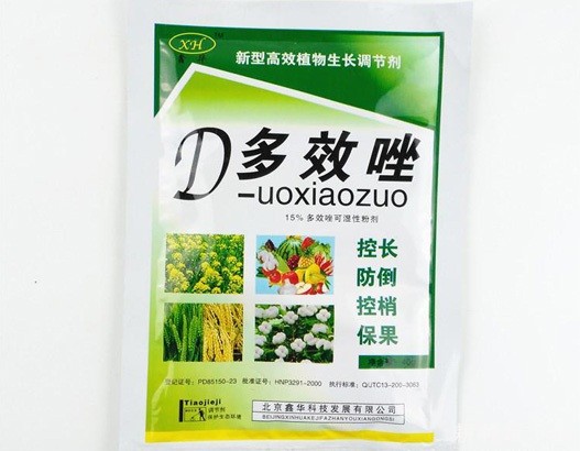 黄瓜苗期施用植物生长调节剂有什么用？