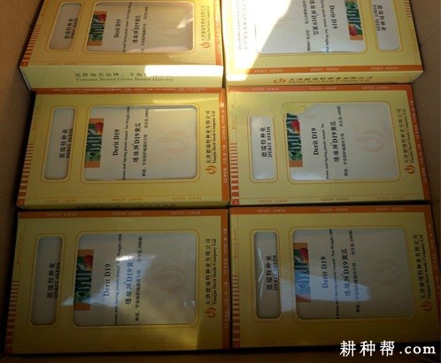 德瑞特D19黄瓜品种好不好？