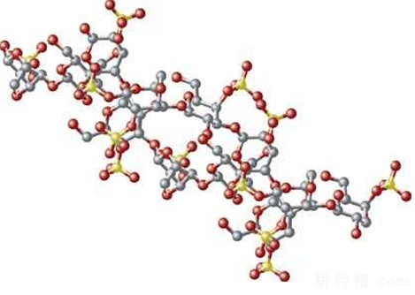  南瓜中的多糖有什么功效与作用？