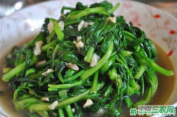 茼蒿菜不能和什么一起吃？