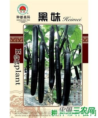 黑妹茄子品种好不好？