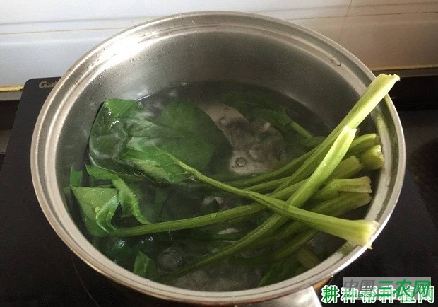 菠菜为什么要先焯后烧？