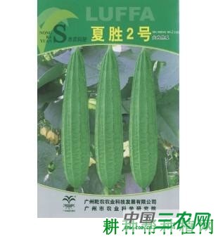 夏胜2号丝瓜品种好不好？