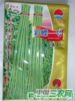 彩蝶一号豆角品种好不好？