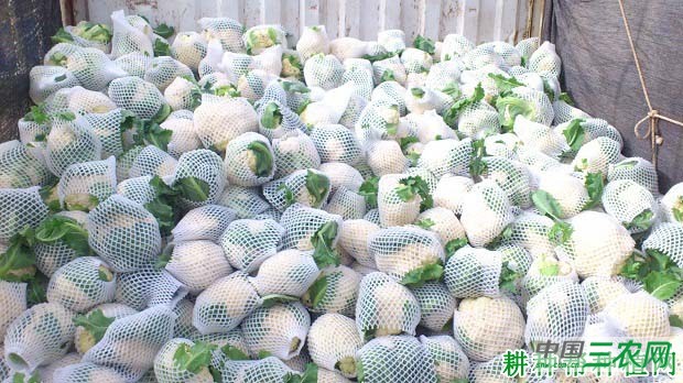 花椰菜怎么施肥，用什么肥料好？