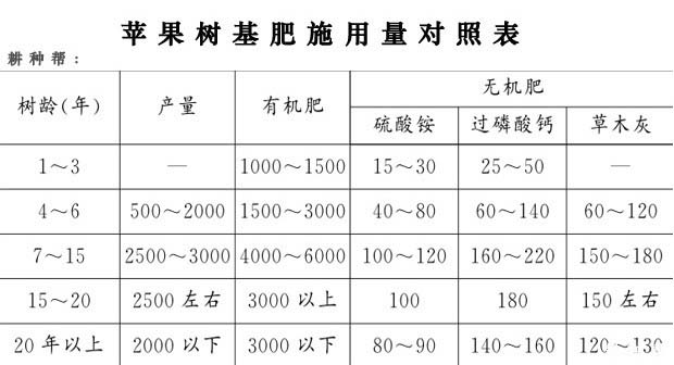 苹果树基肥什么时候放好，要放多少？