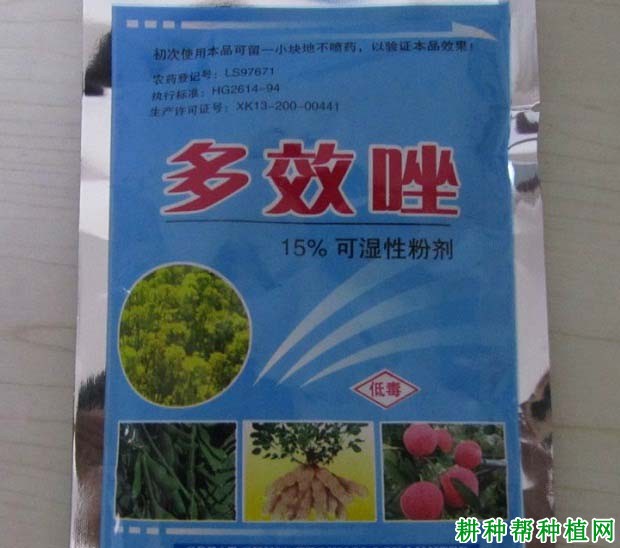 龙眼用什么药控稍好？