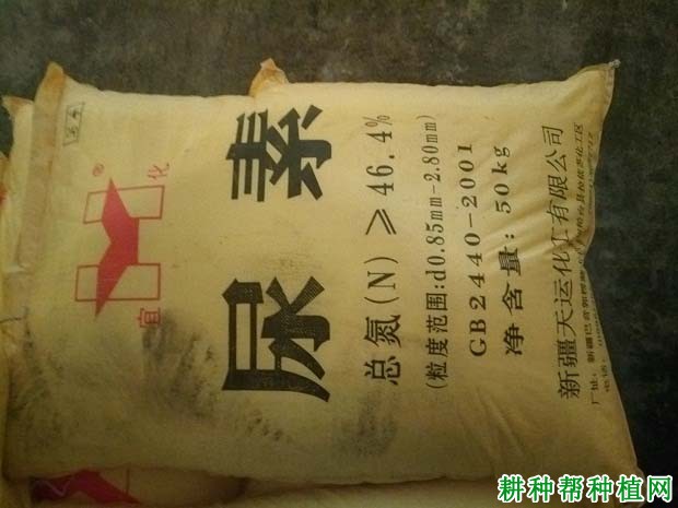 种植核桃能用那些肥料？