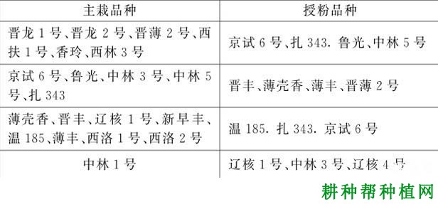 核桃什么时间种植，行距株距是多少？