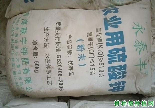 种樱桃用什么肥料好，如何施用？