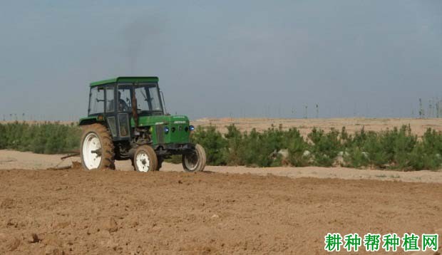 种植甘蔗怎么样整地？