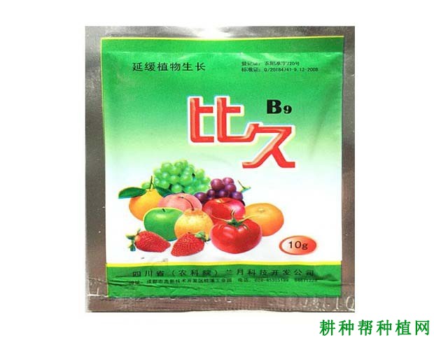 种植龙眼什么时候可以使用植物生长调节剂？