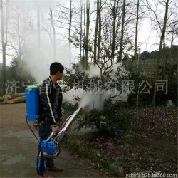 厂家直销 大棚弥雾机型号 水雾烟雾两用的打药弥雾机