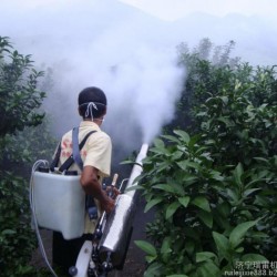 优质双管脉冲式弥雾机 烟雾机价格  打药机汽油喷雾机