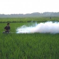 农用植保打药弥雾机 脉冲水冷型烟雾机 背负式汽油动力小麦弥雾机