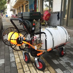 永州 高效耐用汽油烟雾弥雾机 手推式大容量打药机