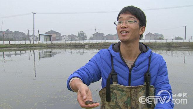 [致富经]湖州长兴县卢泽辉养螃蟹靠懒鱼翻身