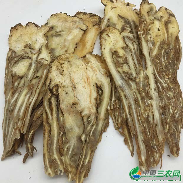 当归的功效与作用是什么？