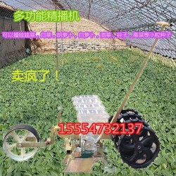 拖拉机谷子高粱播种机 启航小颗粒菜籽播种机 精播机厂家