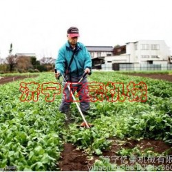 广州 轻便型果园施肥开沟机 多功能旋耕锄草机大马力翻土微耕机