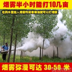 桑树打药机 枸杞树施肥弥雾机 农用烟雾水雾两用机销售