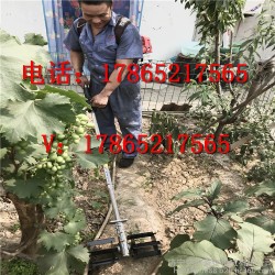 二冲程旋耕机 山地树木施肥用开沟机 省油功率大除草机 厂家销售