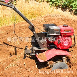 曲阜康盛厂家直销多功能家用小型旋耕机 蔬菜大棚种植施肥开沟机 松土施肥开沟机