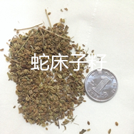 【龙飞种业】 药材种子/中药材种子/种子种苗/中药材除草剂/ 花卉种子/中药材播种机/松土机/除草机/药材除草剂