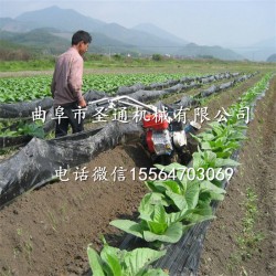 大棚地膜覆土开沟机 西红柿作垄种植培土机 节时省力小机型开沟机